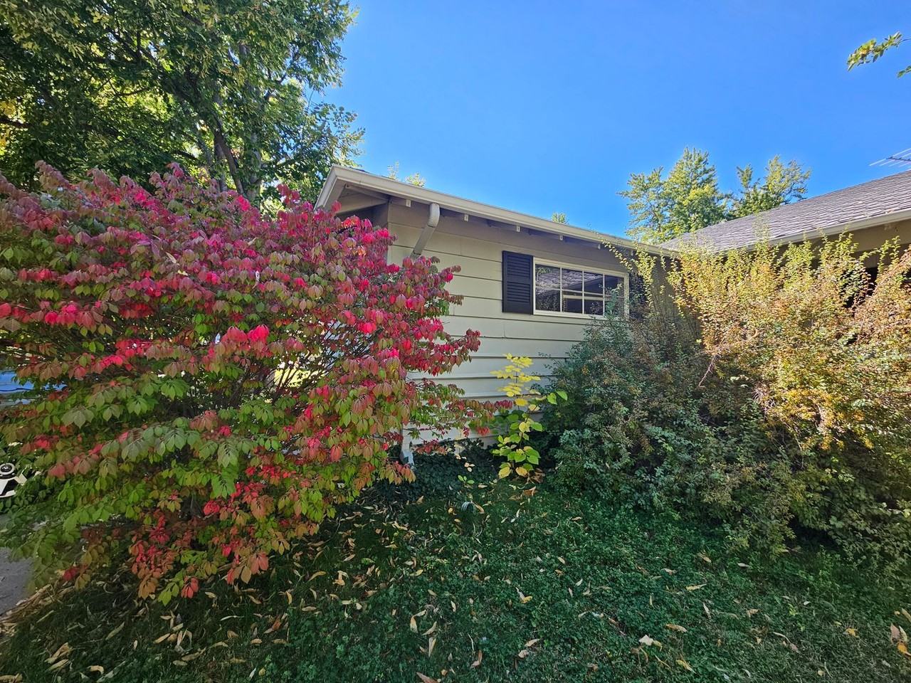 1875 S Linden Way - Photo 7 of 50