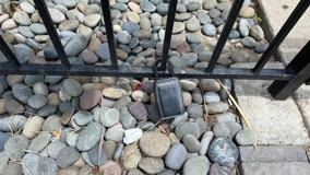 SF Casa Royale - Photo 1 of 1