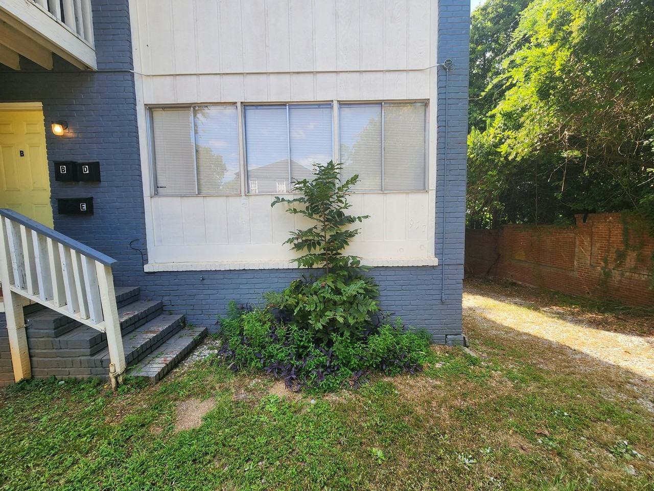 917 Oakview Ave - Photo 5 of 16