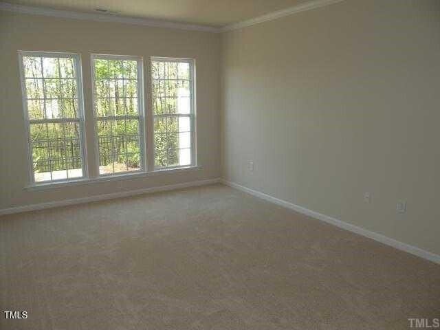 714 Hornchurch Loop - Photo 7 of 12