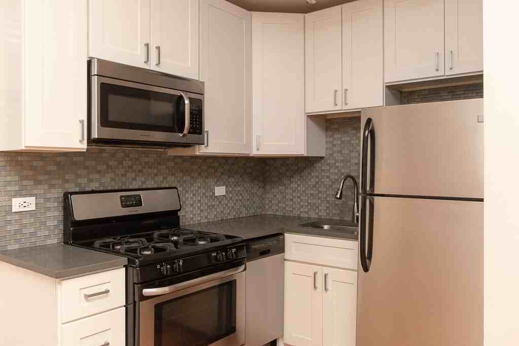 2420 North Kedzie Boulevard #B05 - Photo 3 of 17