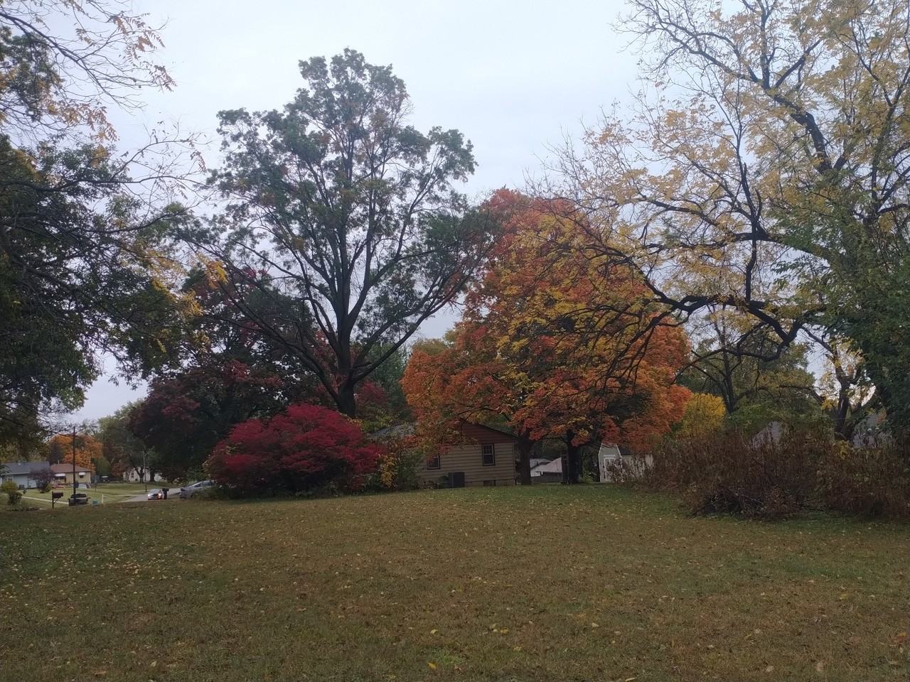 2319 North 85th Street #NA - Photo 4 of 22