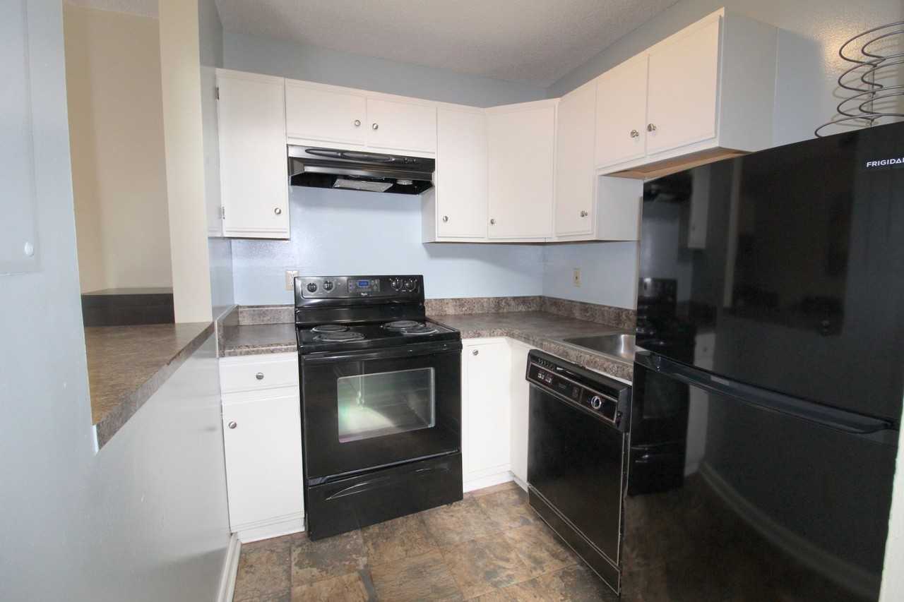 1343 Bradley Dr - Photo 5 of 16