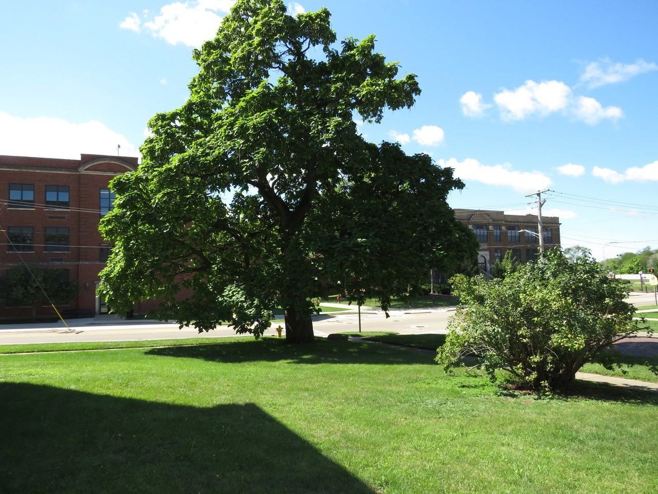 306 306 E Main Street E #B - Photo 7 of 14