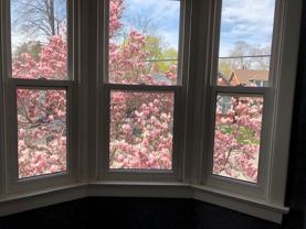 Stanley Ave & Burlington St - Photo 1 of 1