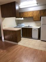 264T - Photo 1 of 1