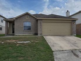 25714 Gold Yarrow - Photo 1 of 1