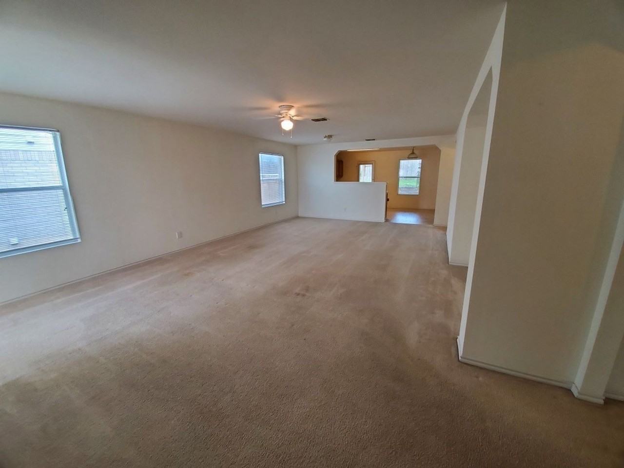 25714 Gold Yarrow - Photo 4 of 18