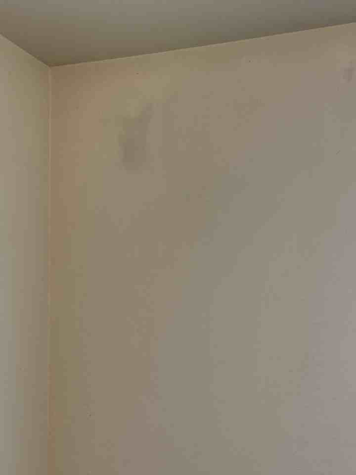 28 Michael Grove Ave - Photo 7 of 20