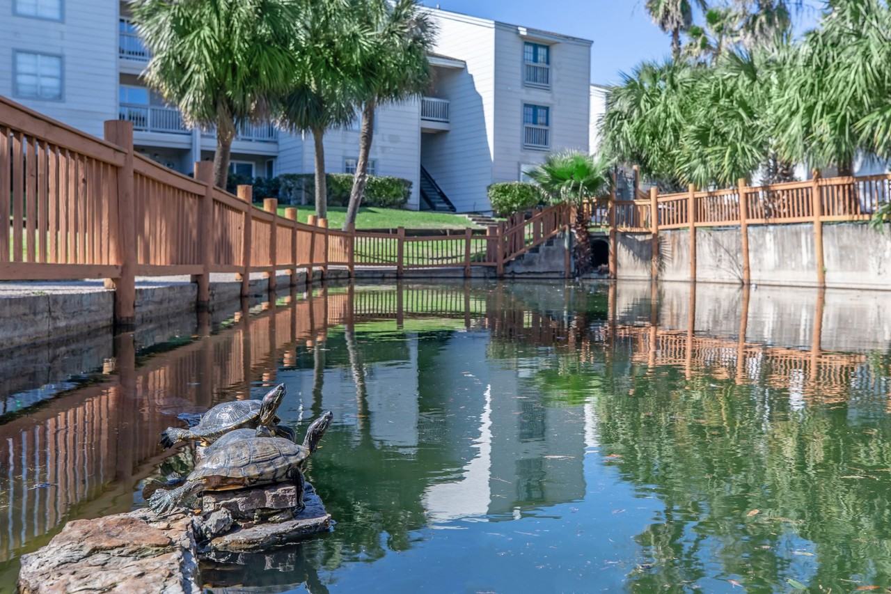 Island Bay - Photo 4 of 18