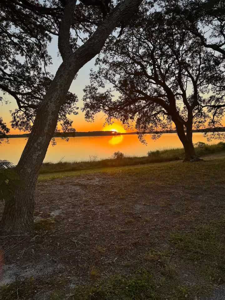 323 Gibbs Rd #NA - Photo 3 of 9