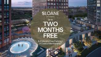 Sloane - Photo 1 of 1