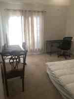 featured image of 42115 Piebald Sq