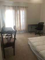 42115 Piebald Sq - Photo 1 of 1