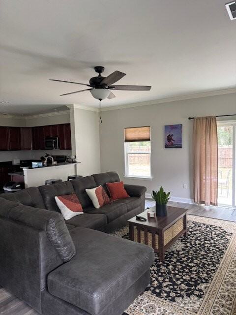 55 Spearmint Cir - Photo 7 of 18