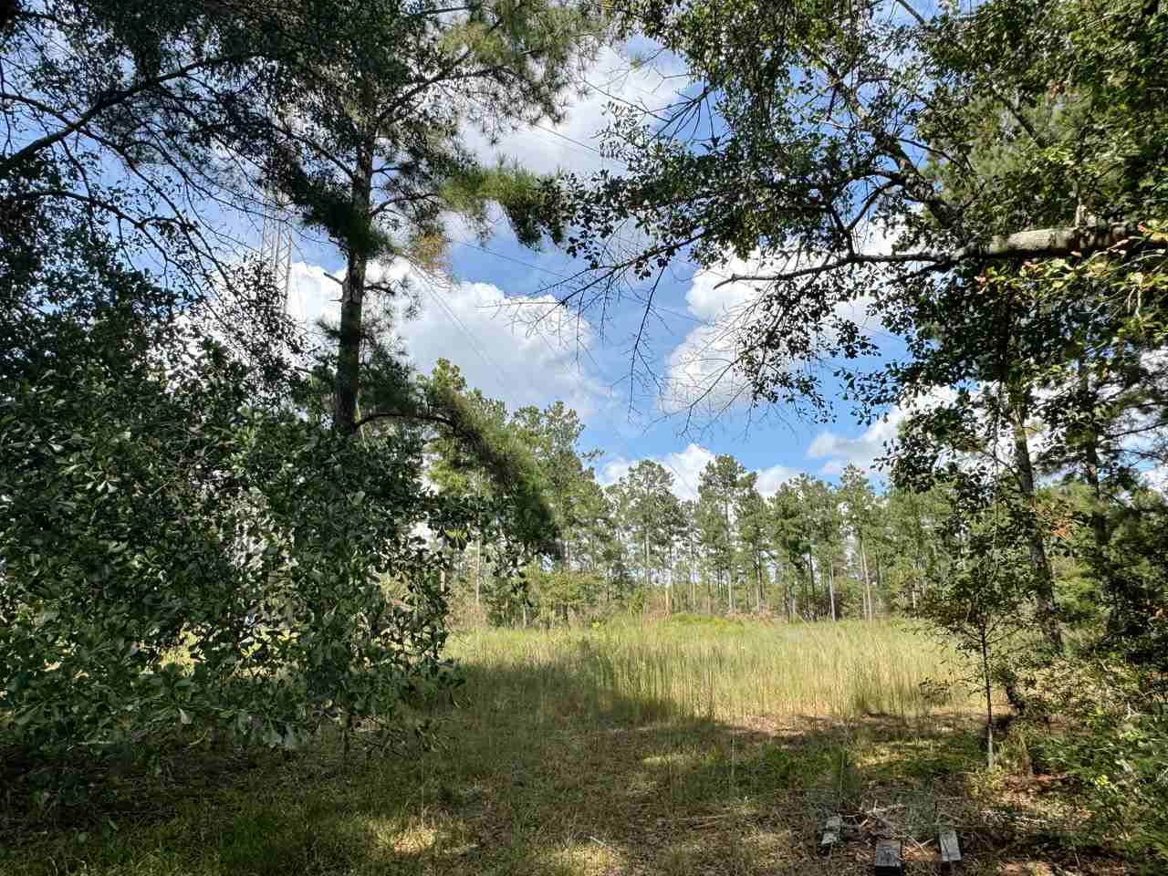 1595 Venson Rd - Photo 2 of 13