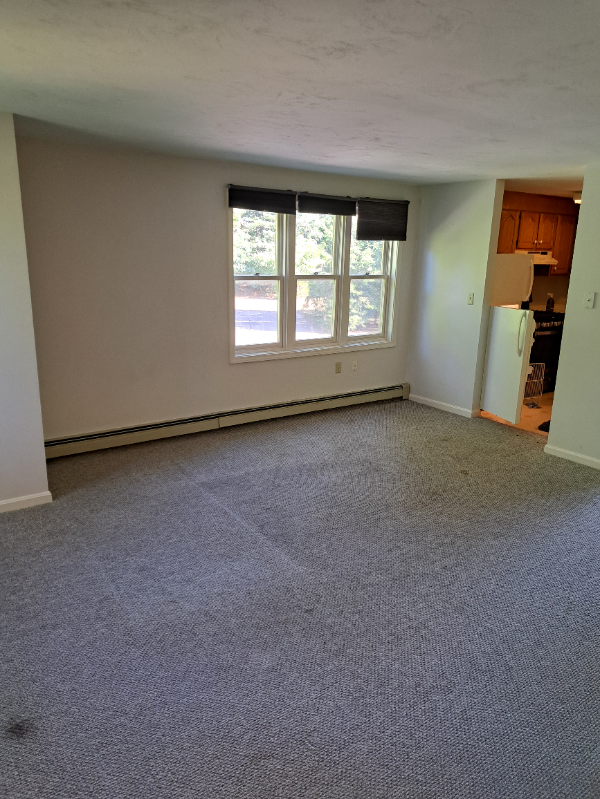 49 Depot St #4 - Photo 3 of 9