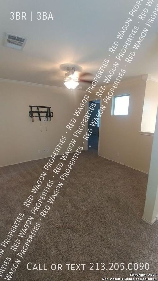 14235 Rosy Finch - Photo 7 of 10