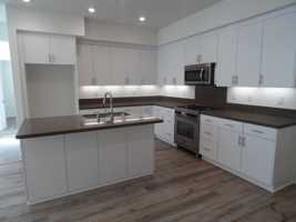 featured image of 122 Leafy Twig