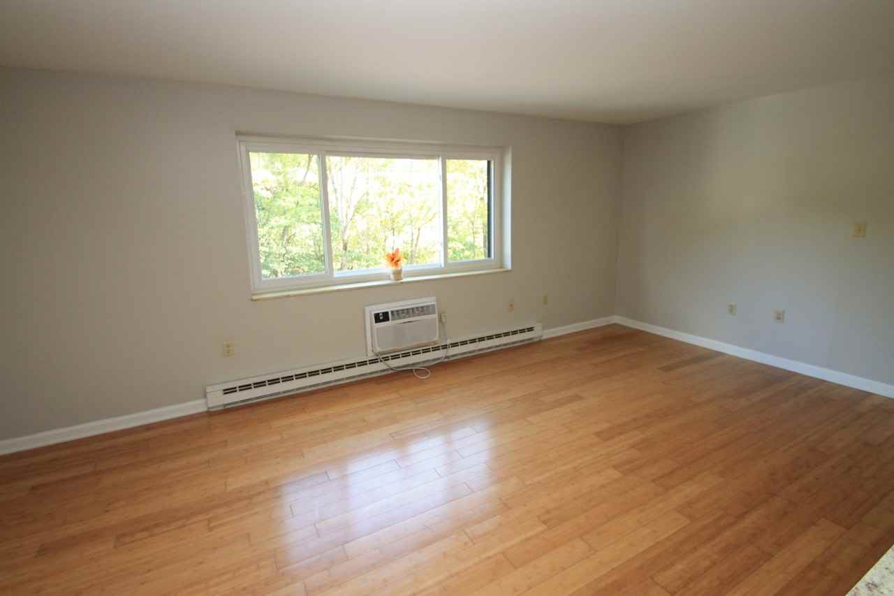 BETHEL TERRACE APARTMENTS -- 11 - Photo 5 of 17