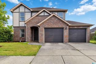 22873 Downing Park Cir - Photo 1 of 1