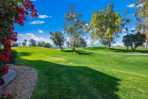 featured image of 207 Desert Falls Cir