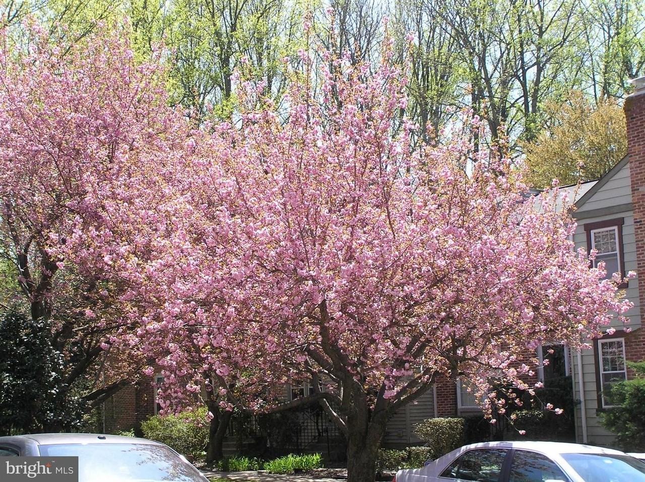 10053 Chestnut Wood Ln - Photo 3 of 28