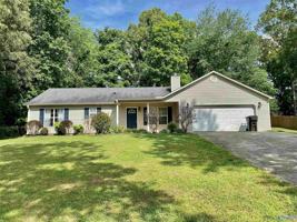 featured image of 225 Old Country Ct