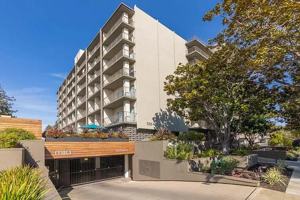 featured image of 535 Everett Avenue #242