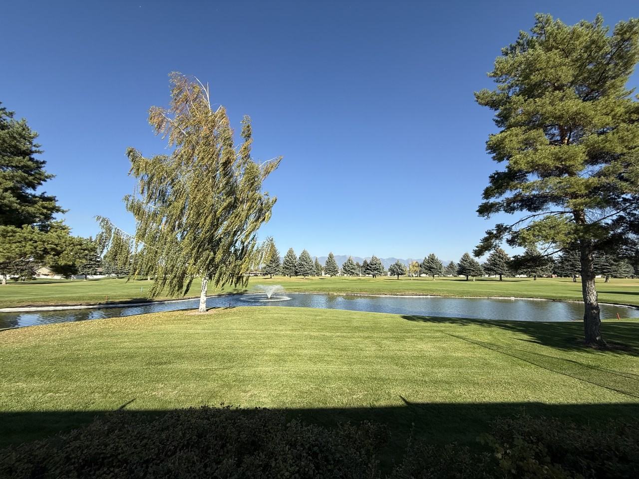 119 Trevino Dr - Photo 2 of 26