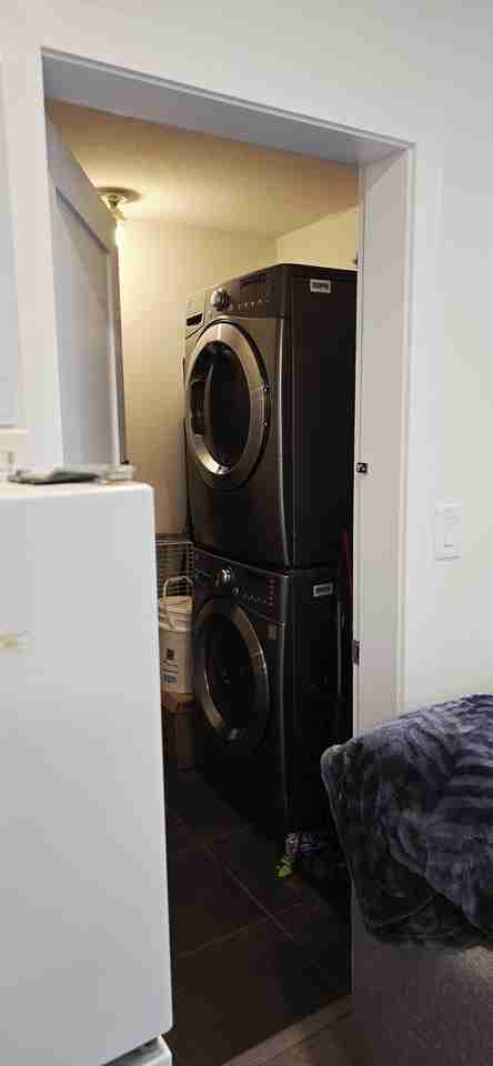 4126 Trinity Street - Photo 7 of 22