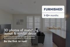 1000 Lupine - Photo 1 of 1