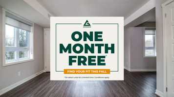 featured image of 263 & 263 Exhibition St.