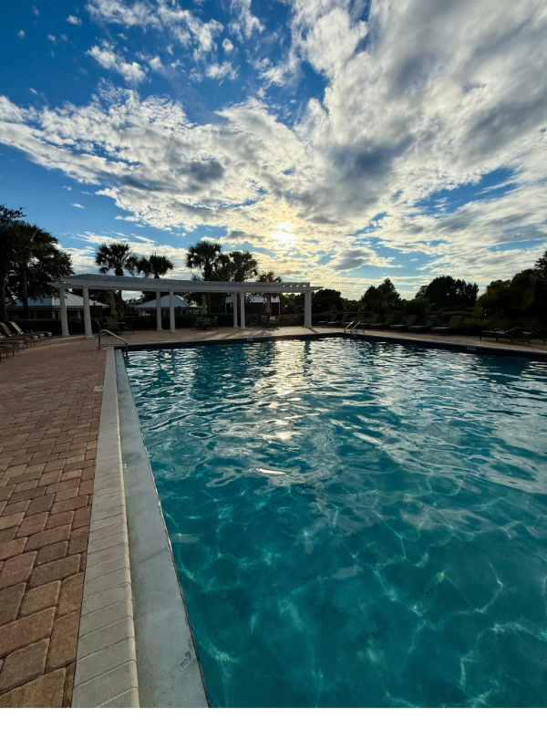 34046 Spring Oak Trl - Photo 4 of 20