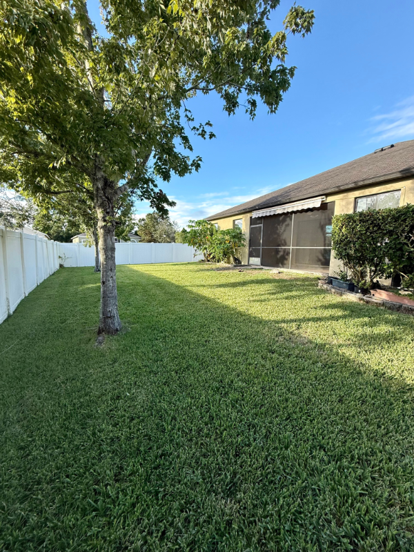 34046 Spring Oak Trl - Photo 6 of 20