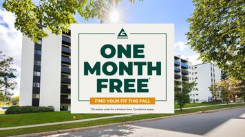 featured image of 295 Dale Cres