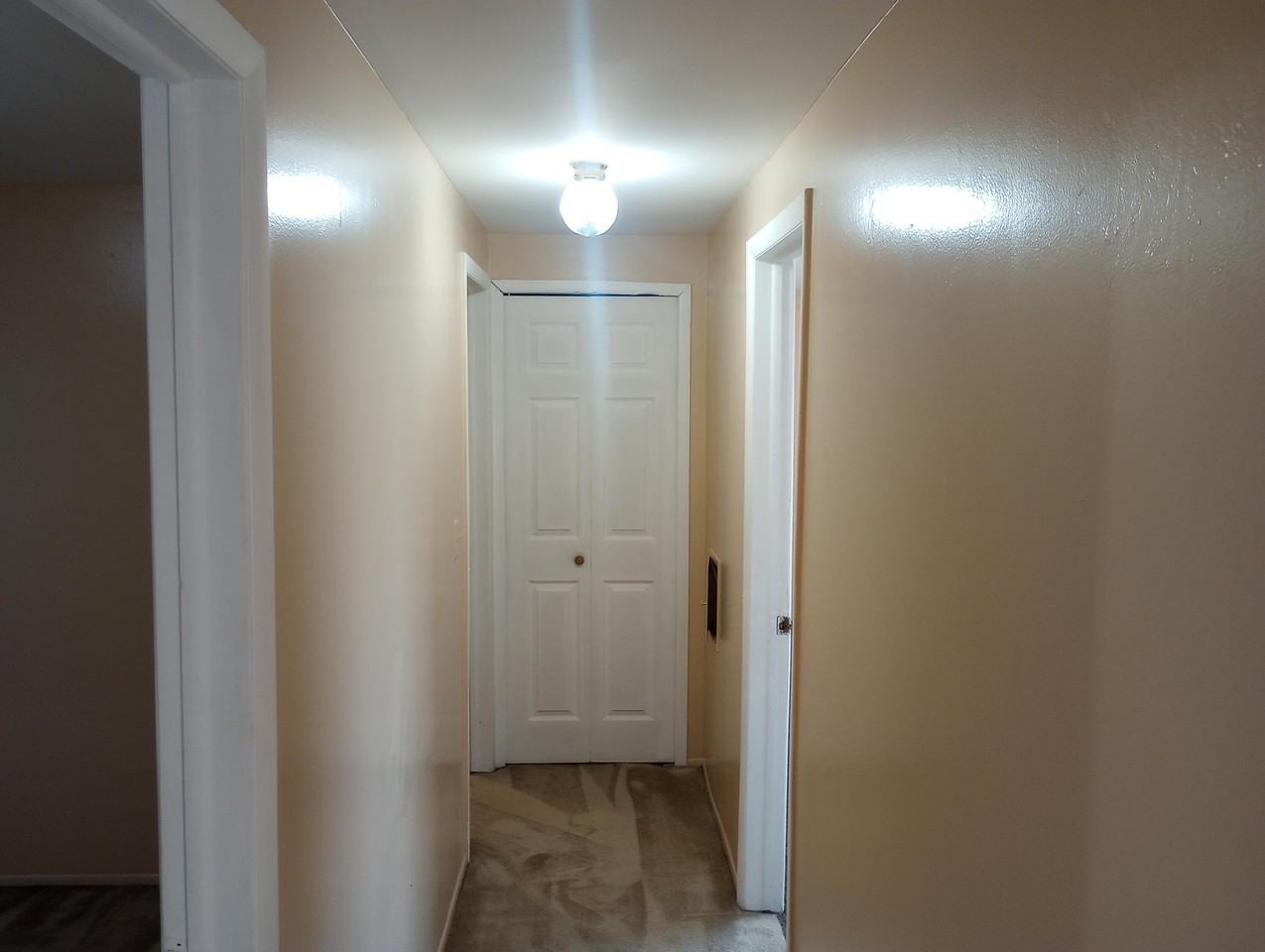 29228 Marshall St - Photo 7 of 14