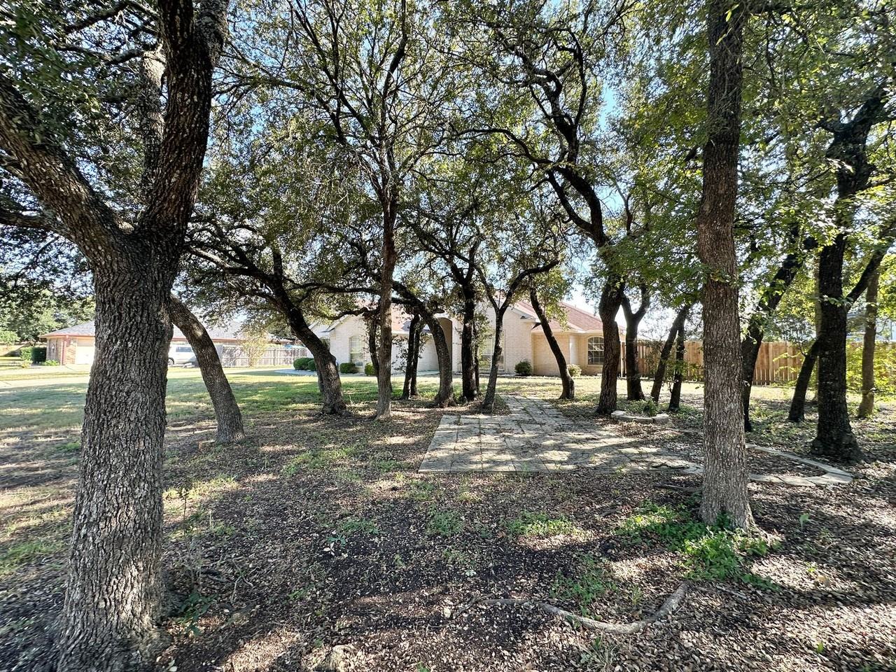 170 Wyatt Earp Loop - Photo 3 of 36