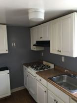 South Oakland renovated 2 bedroom - Photo 1 of 1