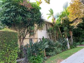 169 Almont - Photo 1 of 1