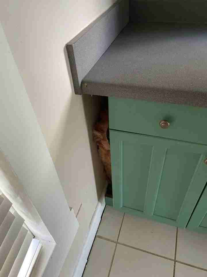 101 Meeks Ave - Photo 3 of 42