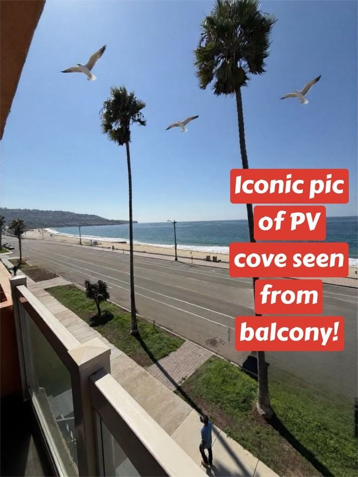 Persephones LLC - Photo 6 of 41