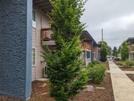 Celebration Park Apts - Photo 1 of 1
