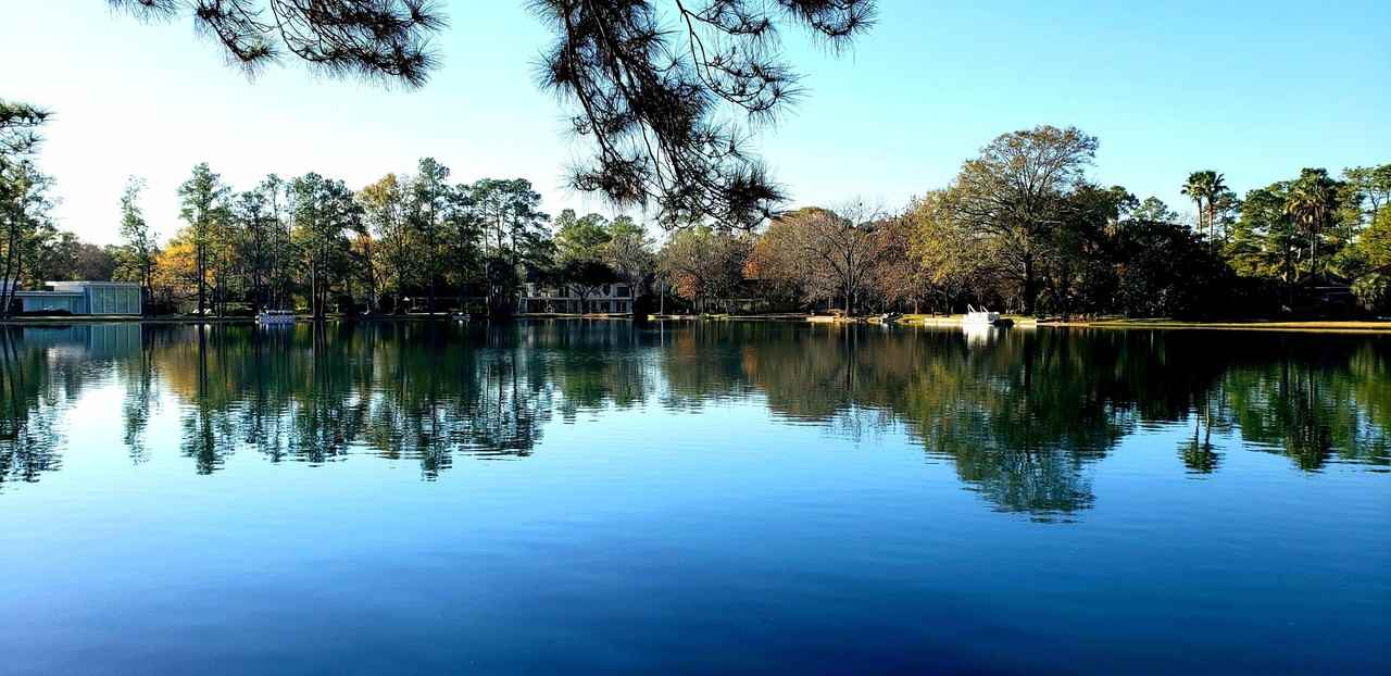 13203 Holston Hills Drive #NA - Photo 4 of 19