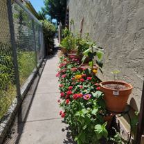 4382 Utah St. - Photo 1 of 1