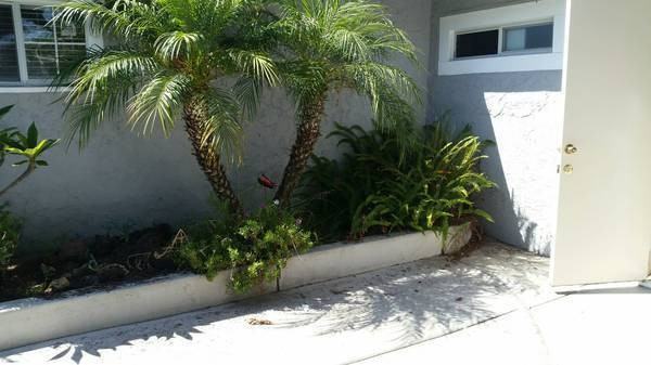 4931 Coronado Ave - Photo 2 of 27