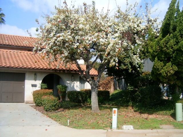 19 Casselman Ct - Photo 2 of 9