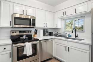 Fringe Mountain View - Photo 1 of 1