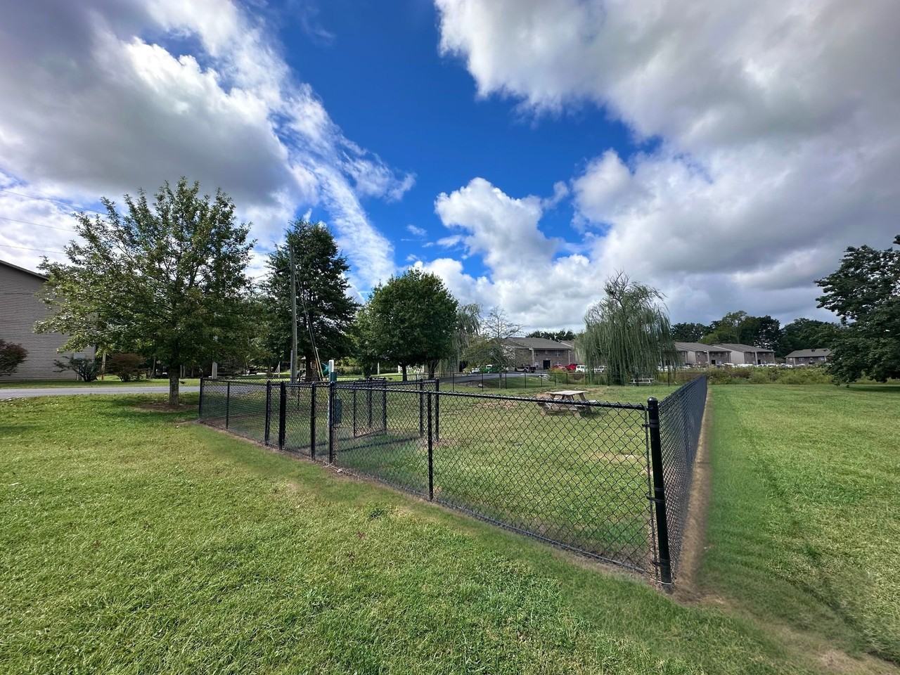 Rand at Forest Hill - Photo 6 of 50