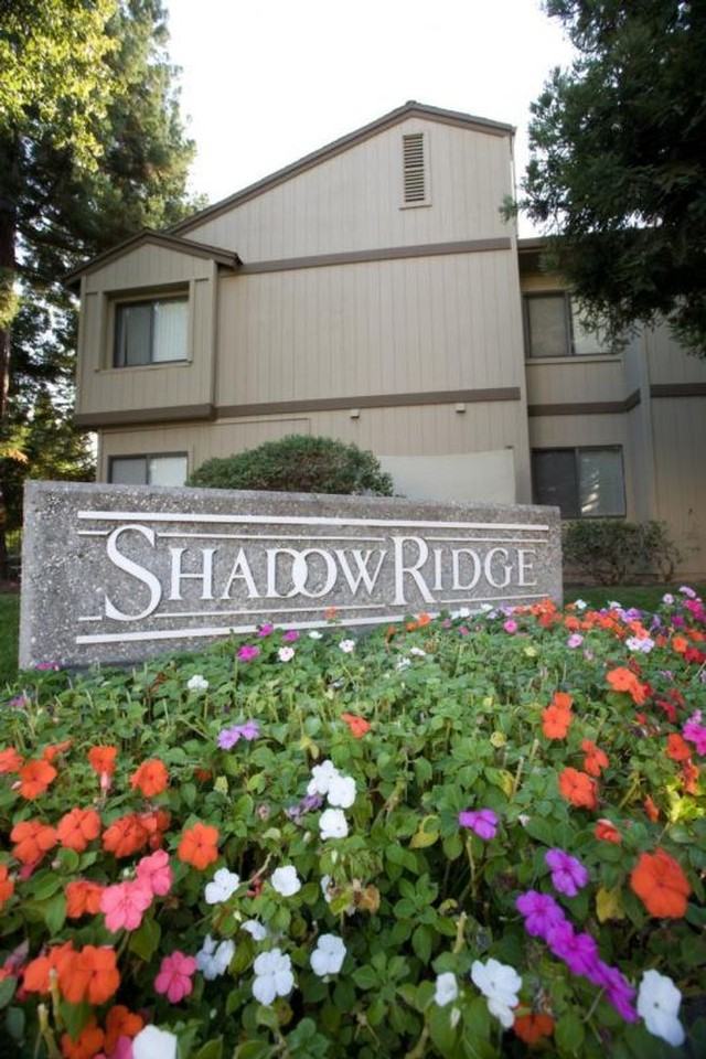 822-Shadow Ridge Apartments - Photo 7 of 17